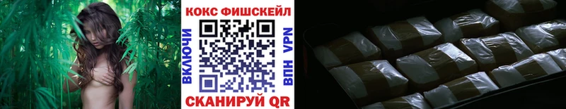 COCAIN Fish Scale  Купить  Армянск 