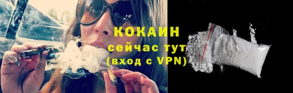 твердый Кукмор